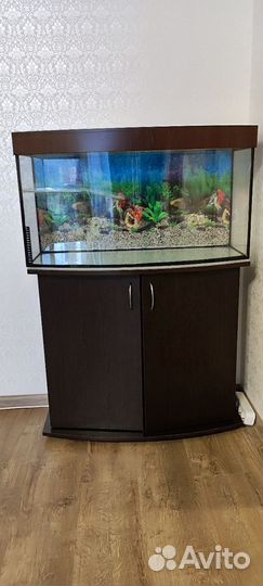 Аквариум с тумбой на 100 л