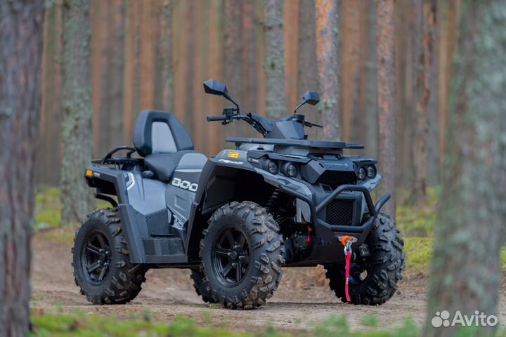 Снегоболотоход рм 800-Т