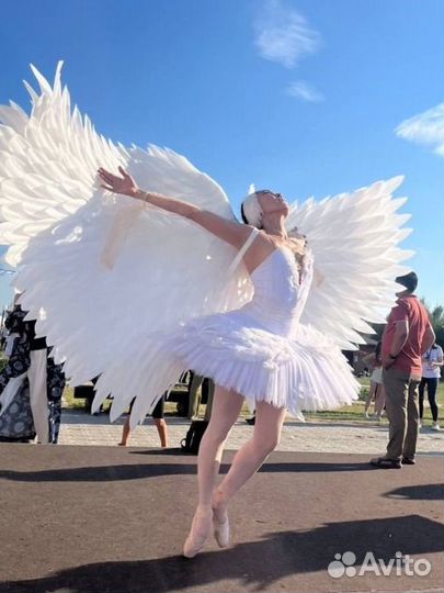 Свадебный танец, Полонез (школа) и т.д. Звоните