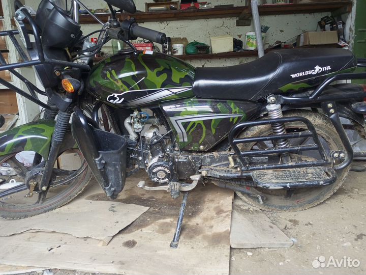 Альфа ягуар лесник