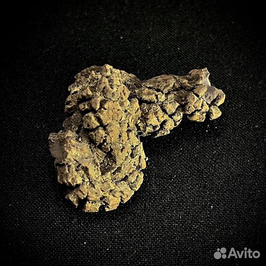 Копролит хищного динозавра окаменелость ископаемое