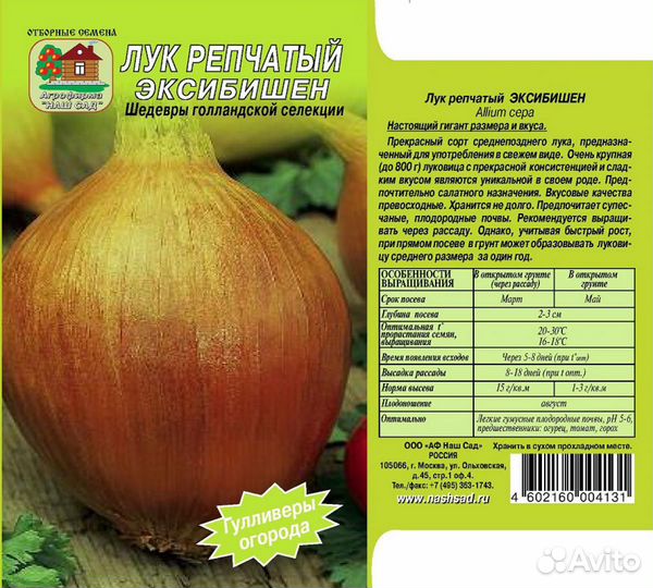 Рассада лука эксибишен
