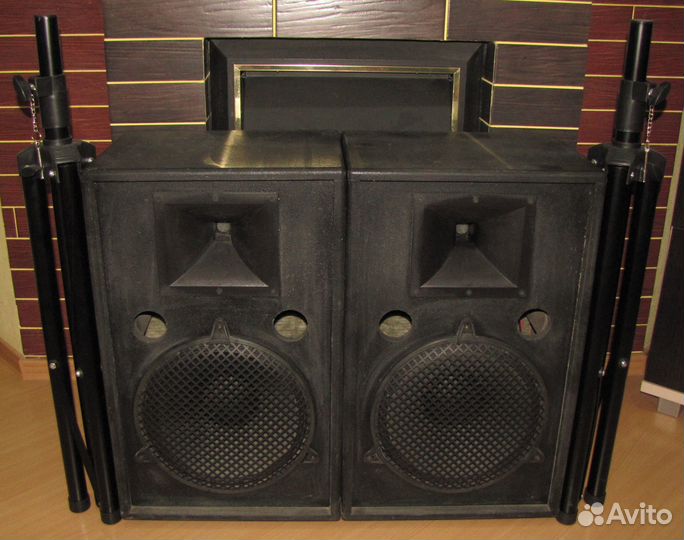 Колонки Frank Audio 1000W Pro D12