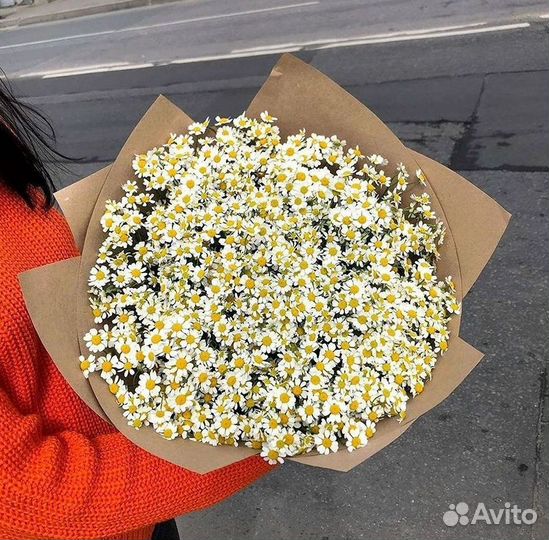 Букеты. Доставка ромашек