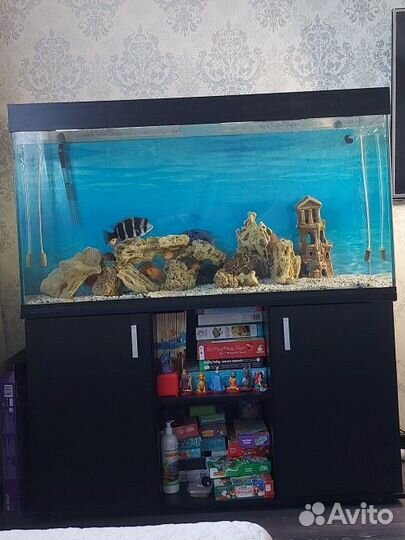 Аквариум с тумбой 300 литров