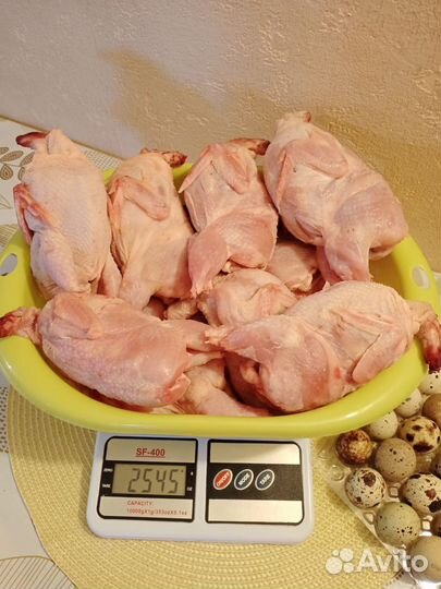 Домашнее мясо перепелов, перепела,перепелка