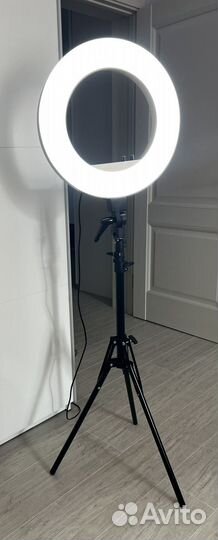 Кольцевая лампа CY-R50L