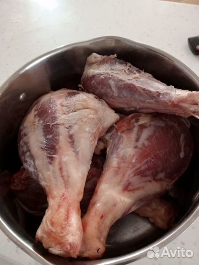 Голень индейки