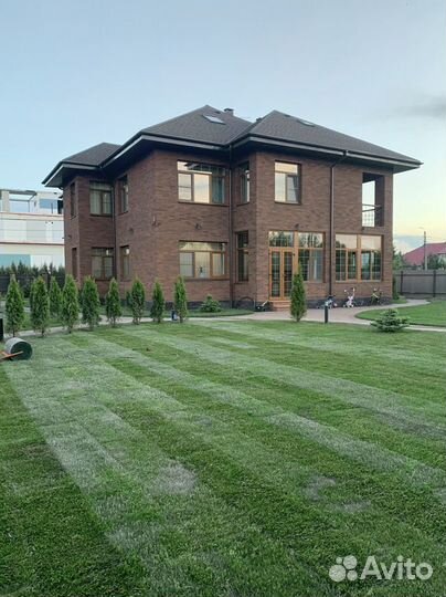 Рулонный газон