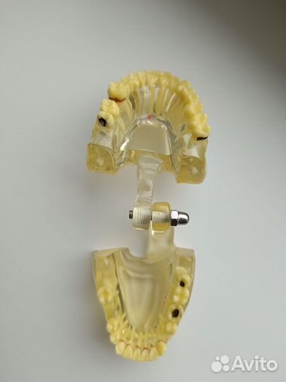 Стоматология