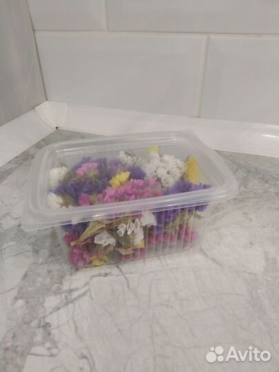 Статица сухоцветы