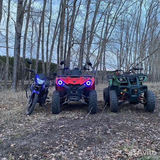 Hammer 200