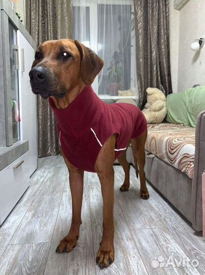 Одежда/жилетка для крупных пород собак