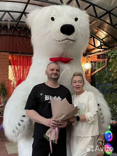 Белый Умка мишка и Чебурашка поздравление Аниматор