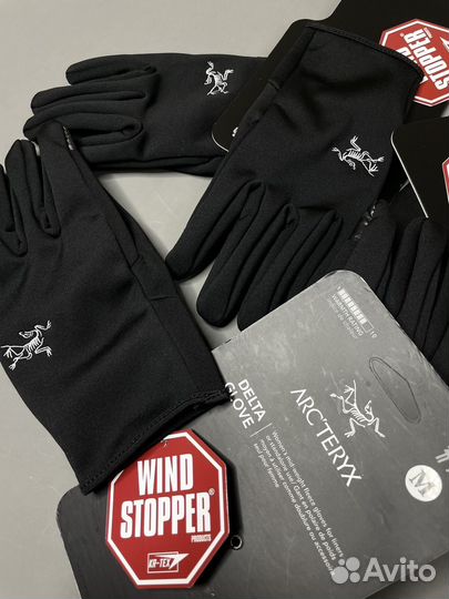 Перчатки зимние Arcteryx