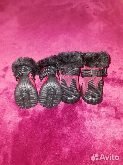 Ботинки для маленьких собак