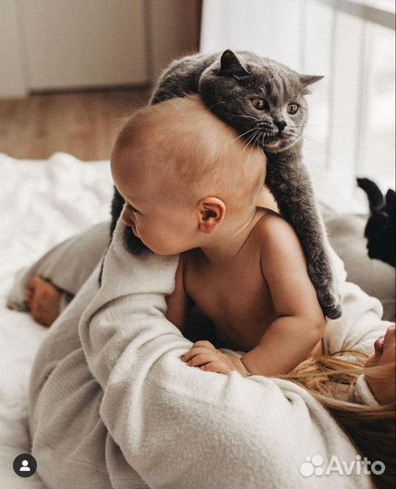 Помошница по дому с функцией няни