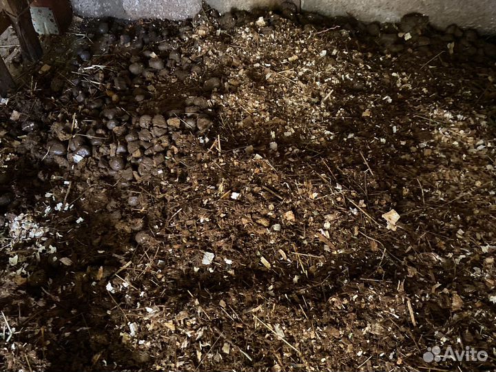 Навоз конский в мешках