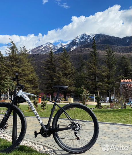 Велосипед взрослый