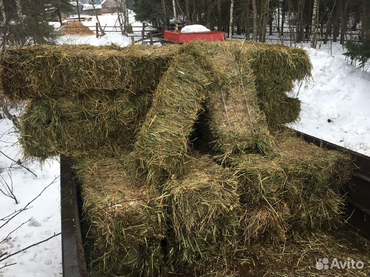 Сено в тюках