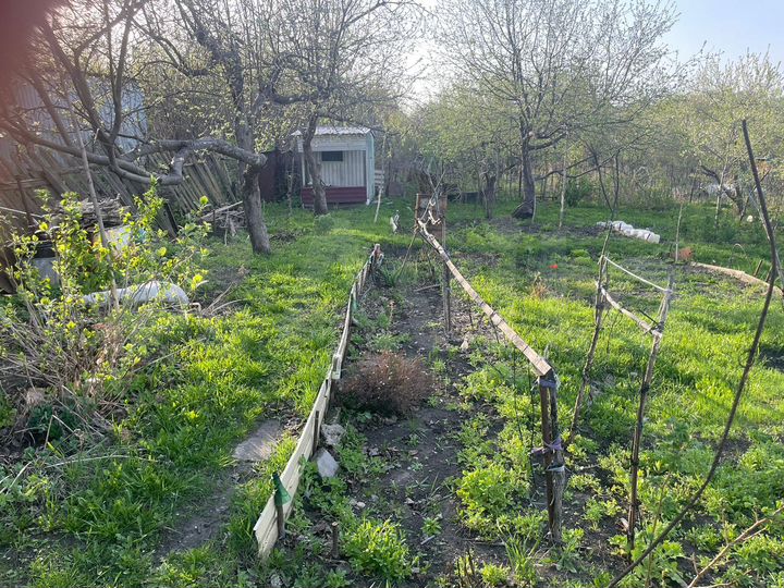 Участок 7 сот. (СНТ, ДНП)