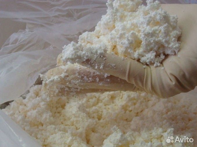 Козий творог