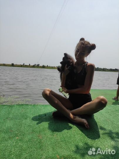 Передержка животных, выгул собак, зоотакси