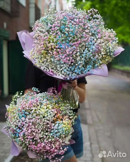 Гипсофила в букете, в коробке