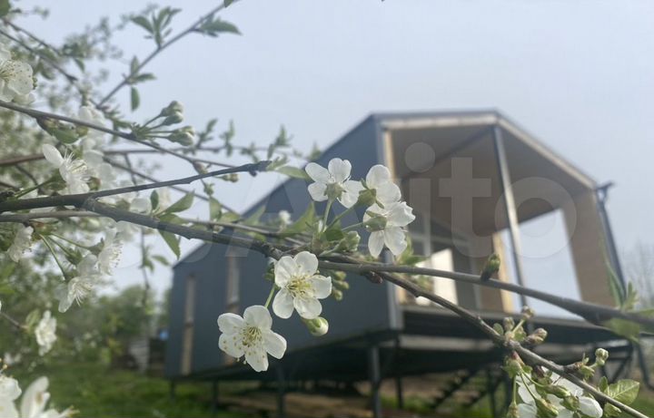 Дача 26 м² на участке 6 сот.