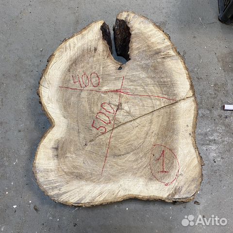 Торцевые спилы карагач массив дерева