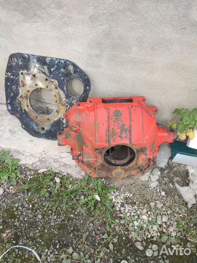 Маз зубрёнок