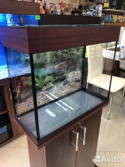 Аквариум 60 литров