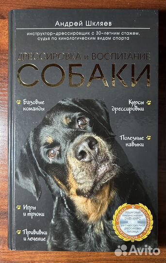 Книги Андрей Шкляев