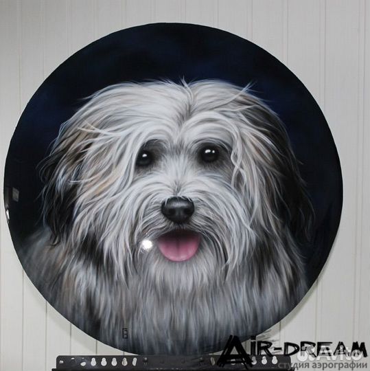 Аэрография на колпак запасного колеса