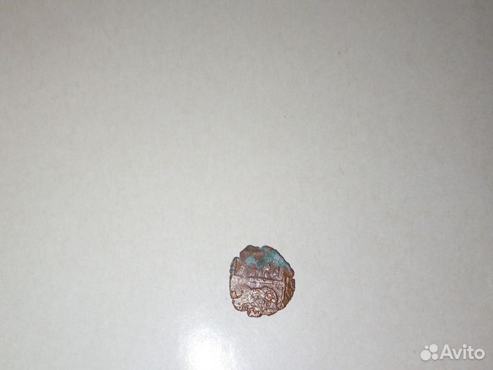 Дерхама татаро-монгольская, год не известно