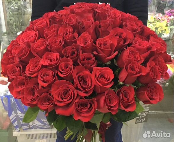 Роза 25,51,101,151,350,бесплатная доставка