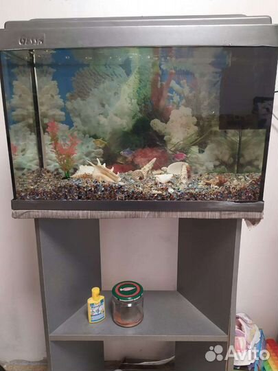 Аквариум с рыбками