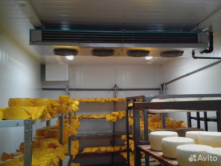 Холодильная камера для хранения сыра