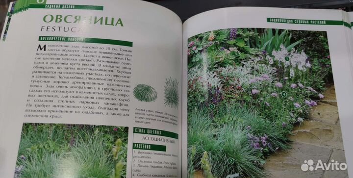 Садовый дизайн. Энциклопедия садовых растений