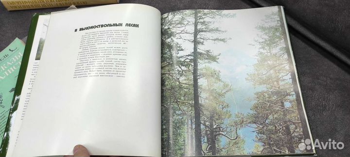 Книга По кавказскому заповеднику