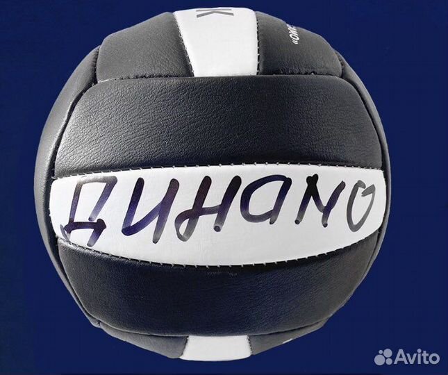 Волейбольный мяч с автографом Владимира Съемщикова