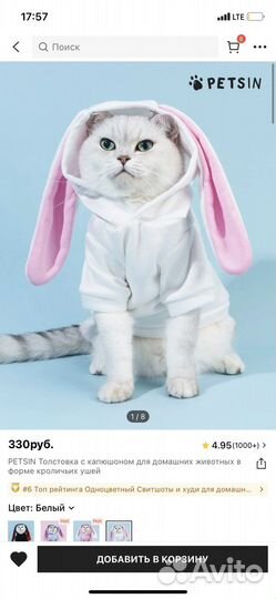 Кофта для кошки с заячьями ушами