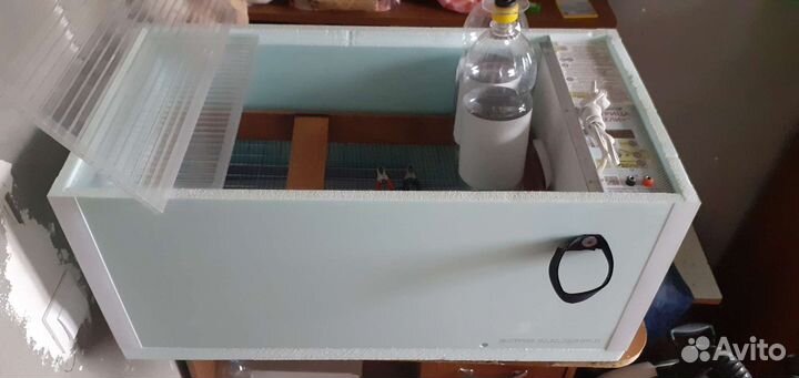 Автоматический инкубатор