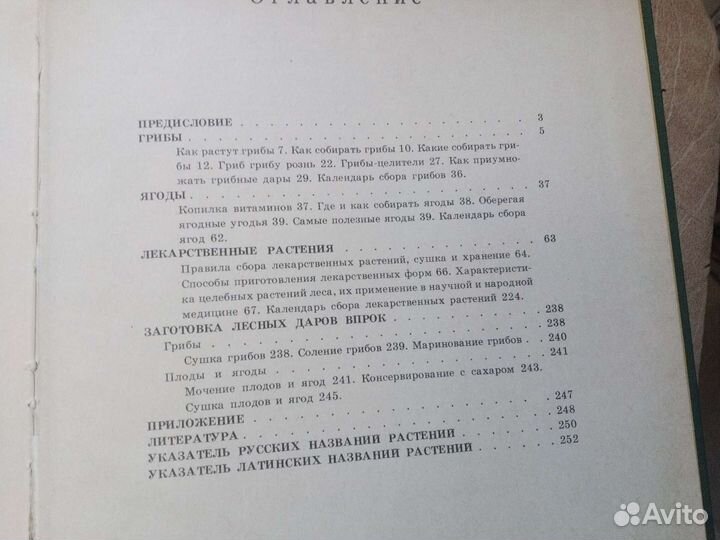 Саутин Дары наших лесов 1988 г