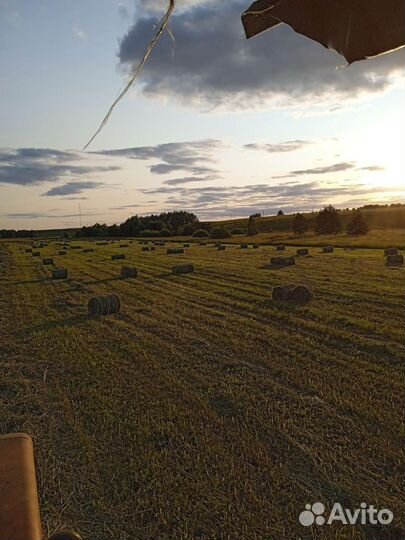 Сено в рулонах