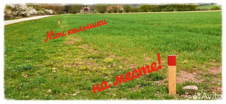 Кадастровые, геодезические услуги