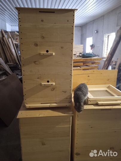 Продам Ульи