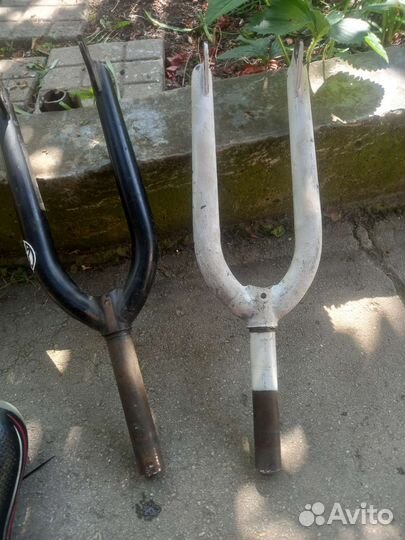 Осталась белая