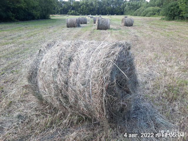 Сено в рулонах 2022 купить в Сараях | Животные и зоотовары | Авито