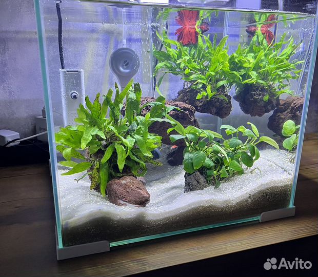 Аквариум